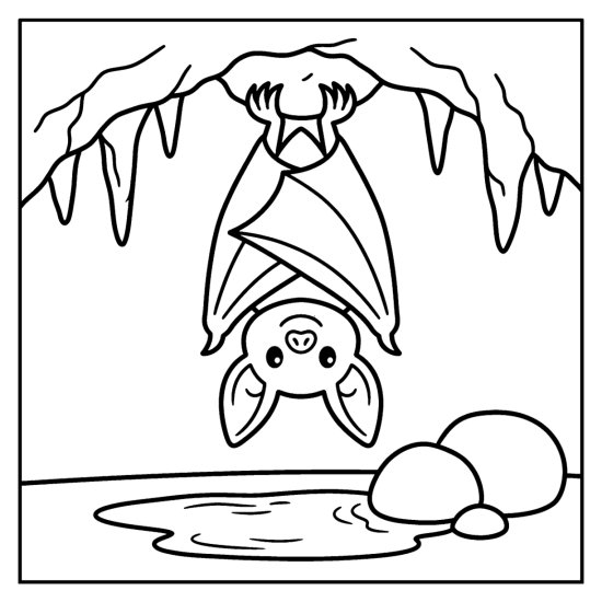 Bat roosting upside down from a cave ceiling lined with simple stalactites above a small pool, coloring sheet