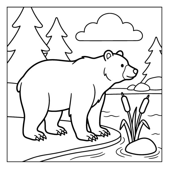 A bear standing quietly at the rim of a glassy forest pool, coloring page