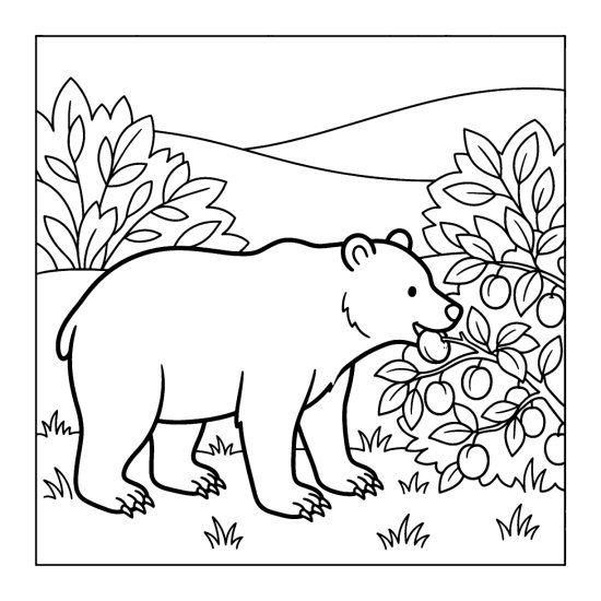 A bear nibbling ripe plums from a low fruiting bush, coloring sheet