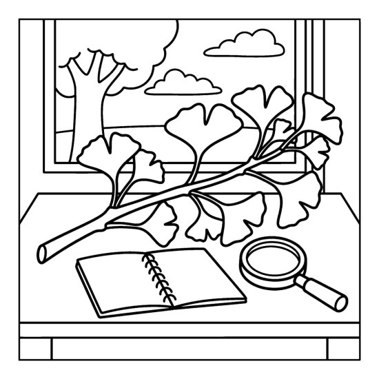 A fan leaved ginkgo branch laid beside an open notebook and magnifier, coloring sheet