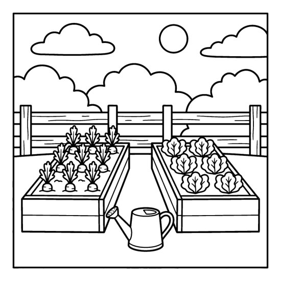 Raised garden beds of carrots and lettuce with a watering can and low fence, coloring sheet