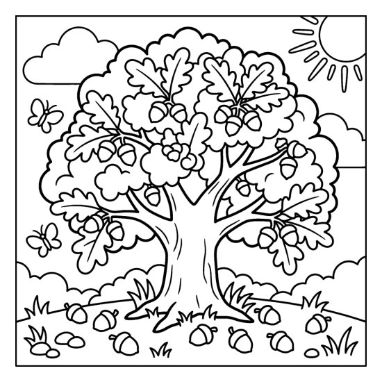 A big spreading oak with a full round canopy and acorns scattered below, coloring sheet