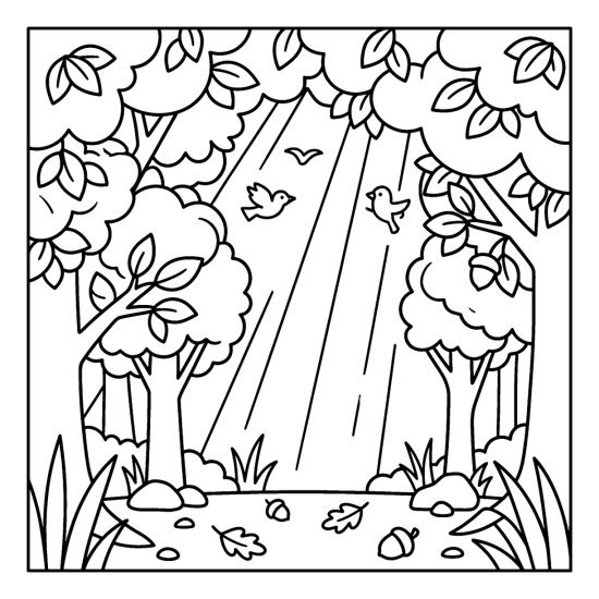 A forest canopy of leafy treetops with light beams shining down to the floor, coloring sheet