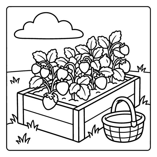 Raised strawberry bed with leafy plants and round berries beside a basket, coloring sheet