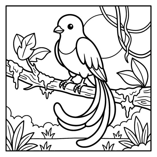 A quetzal bird with long flowing tail feathers perches on a mossy branch, bold and easy