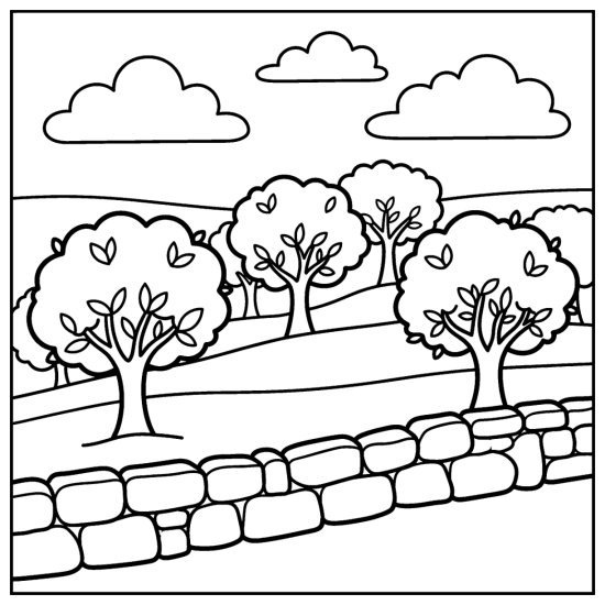 Grove of rounded olive trees on a terraced hillside behind a low stone wall, bold and easy