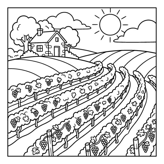 Curving rows of grapevines on a sloping vineyard with a small farmhouse and sun, coloring page