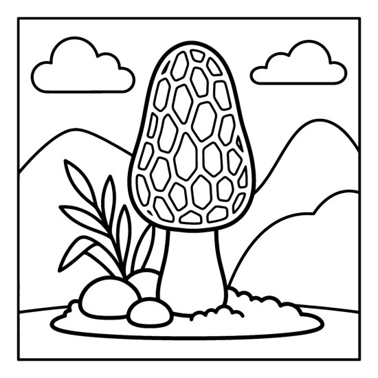 A tall morel mushroom with a honeycomb textured cap stands in moss among stones, bold and easy