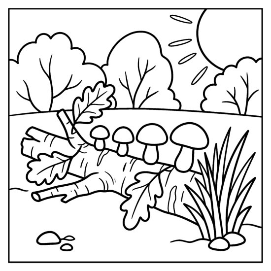 A row of small mushrooms grows along a fallen branch with leaves and grass, coloring sheet