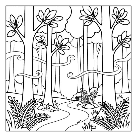 Tall slender trees with swirling mist between the trunks above ferns and a path coloring page