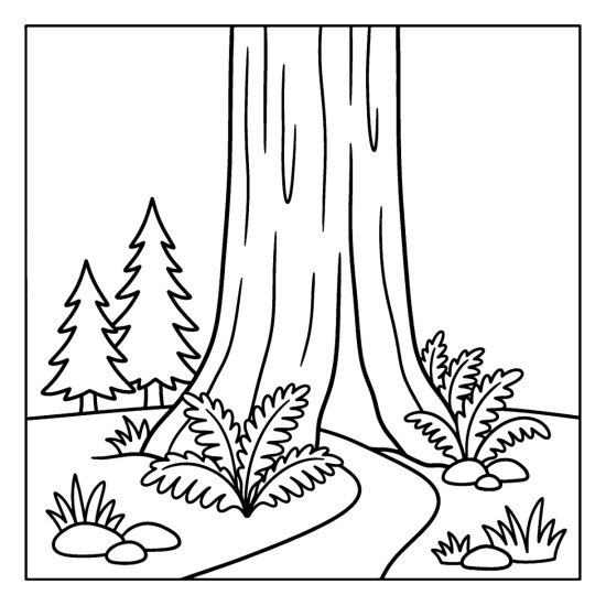 An enormous redwood trunk rising past a curving path with ferns and small trees, bold and easy
