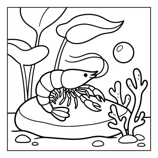 A little shrimp perches on a stone among kelp and a coral sprig, coloring sheet