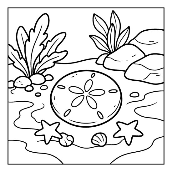 A round sand dollar with a flower pattern lies on rippled sand near starfish, coloring sheet