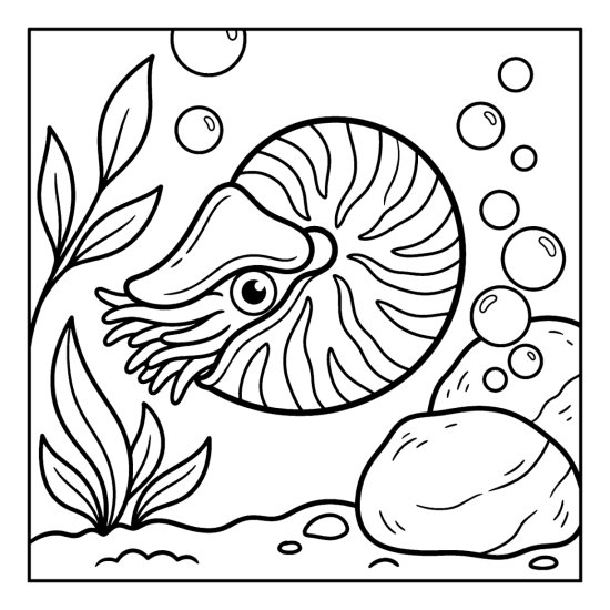 A nautilus with a big spiral shell drifts near boulders with little tentacles, coloring page