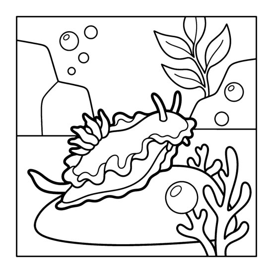 A frilly nudibranch sea slug crawls along a reef rock near coral, coloring page