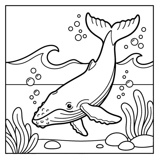 A humpback whale dives with raised tail flukes near seaweed and rocks, coloring sheet