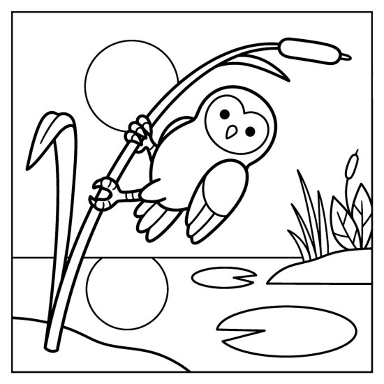 Owl clinging to a tall reed at a pond edge with lily pads and a mirrored moon coloring page