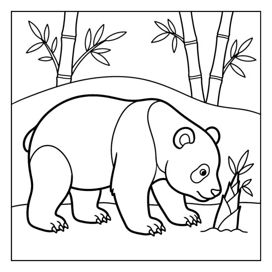 A panda bending to sniff a fresh bamboo shoot poking from the ground, coloring page