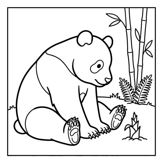 A panda seated and watching a tiny bamboo sprout unfurl from the soil, coloring page
