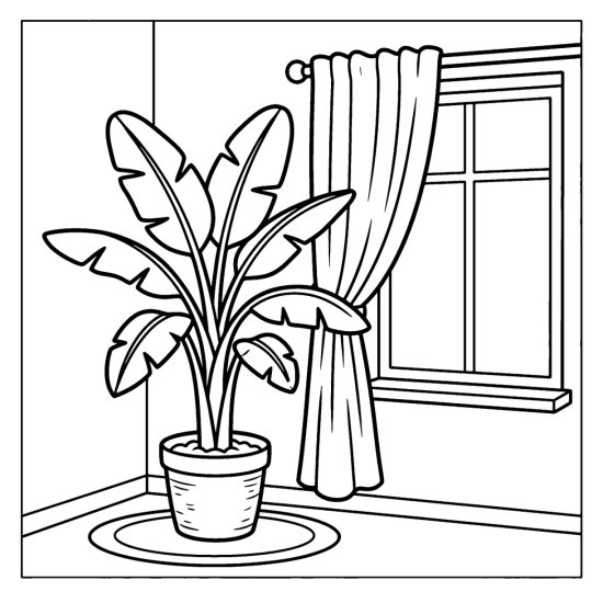 A potted banana plant with big broad leaves in a room corner by a window, coloring page