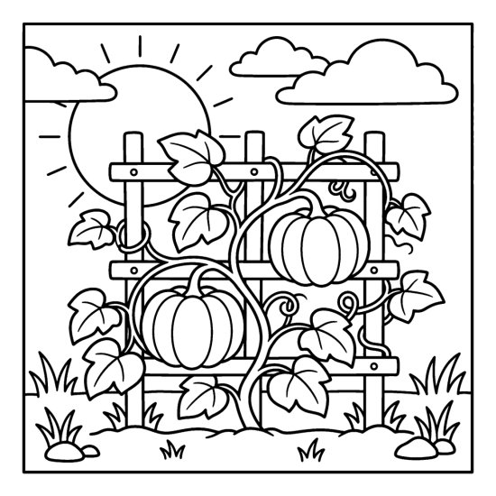 Pumpkin plant climbing a garden trellis with two pumpkins and leaves, bold and easy