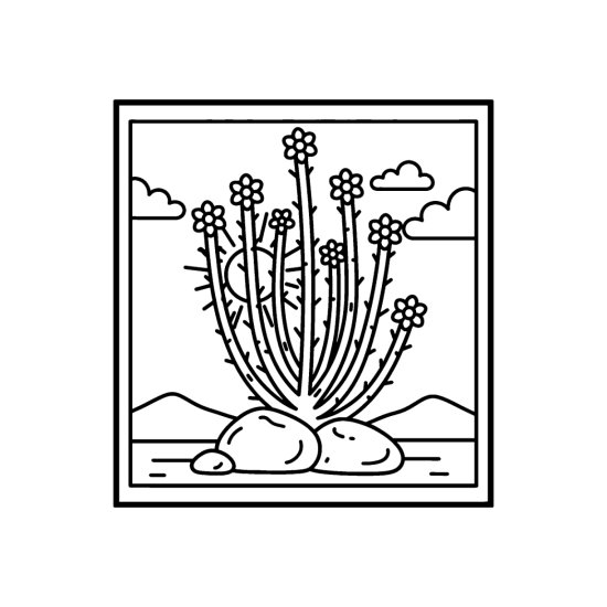 Ocotillo with tall spiny flowering stems among rocks under the sun, coloring sheet
