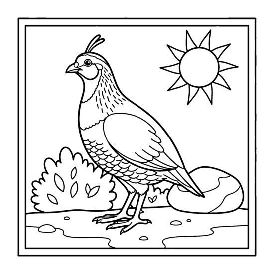 Gambel's quail with a curved topknot by a bush and rock under the sun, coloring page