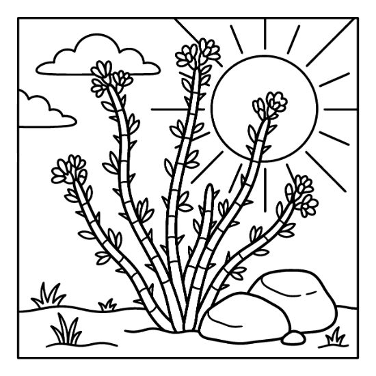 Blooming ocotillo cactus with thick outlines under a bright desert sun and clouds bold and easy.