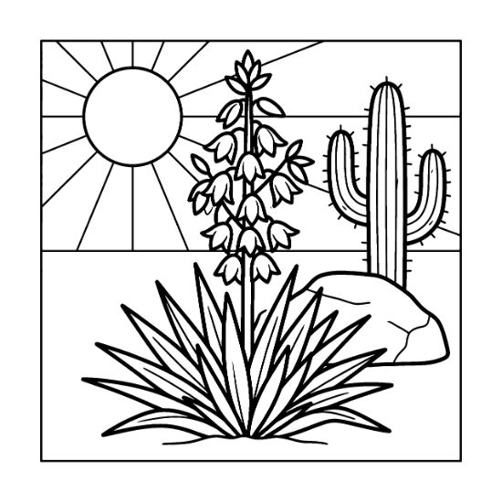 Yucca plant with bell shaped flowers and a saguaro cactus under a radiant sun coloring sheet.