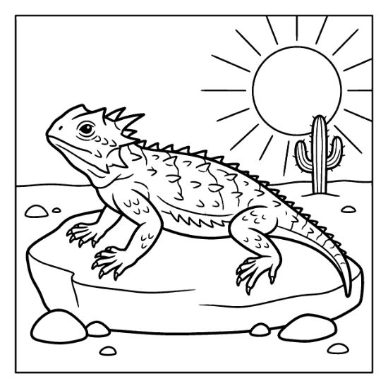 A horned lizard rests on a large rock under a bright desert sun with a cactus mandala.