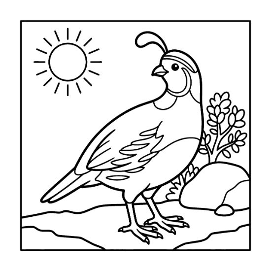 A Gambel's quail stands in a desert landscape with a sun and small shrub coloring page.
