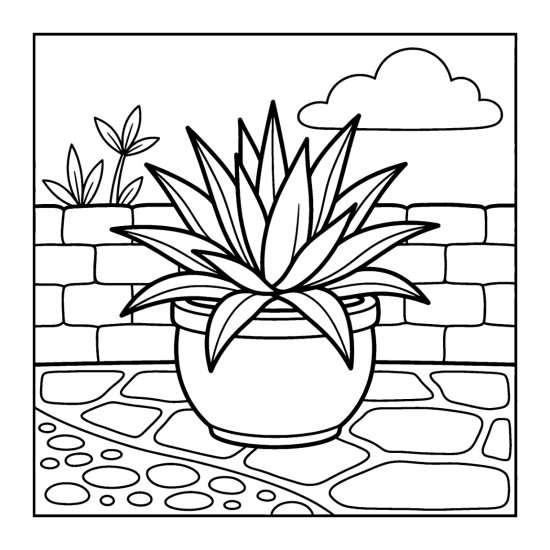 Large agave with broad pointed leaves in a big pot on a stone patio by a wall, bold and easy