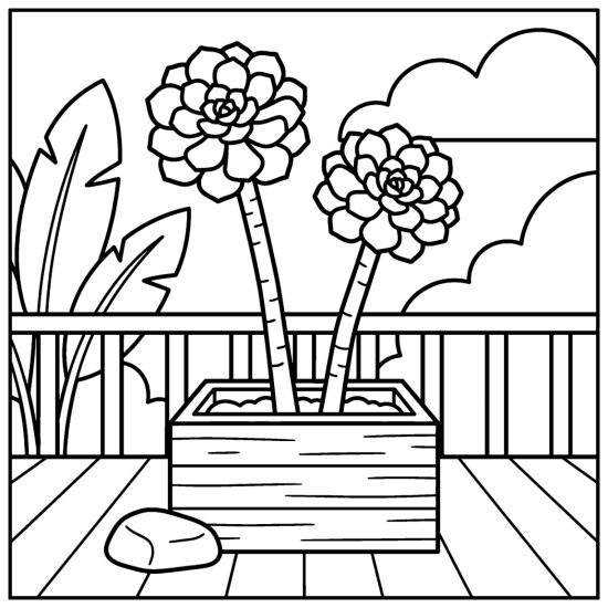Pair of aeonium rosettes on tall bare stems like little trees in a box planter, bold and easy