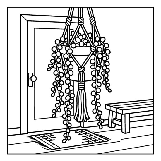 Trailing string of pearls succulent cascading from a macrame hanger by a doorway, coloring sheet
