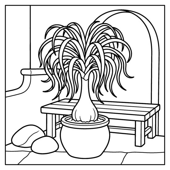 Ponytail palm with a bulbous base and curling leaves in a glazed pot on a patio, bold and easy