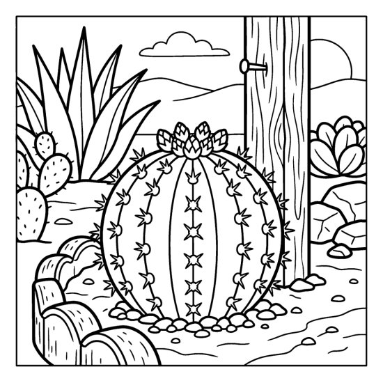 Round ribbed barrel cactus crowned with buds growing among gravel in a dry garden, coloring page