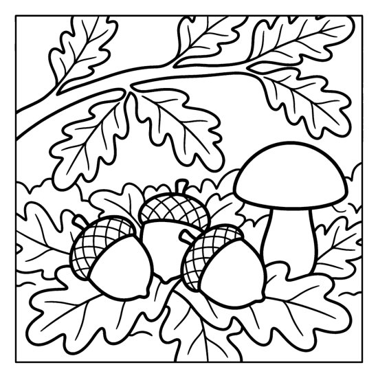 An oak branch heavy with acorns arches over a plump mushroom and fallen leaves, bold and easy