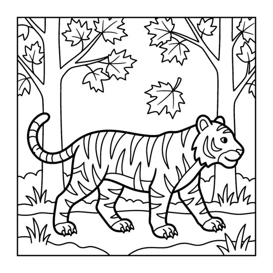 Tiger prowling through a maple grove in fall, bold and easy