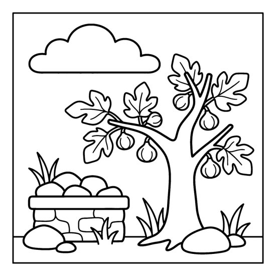 Fig tree with broad leaves and round figs in a courtyard by a stone planter, coloring sheet