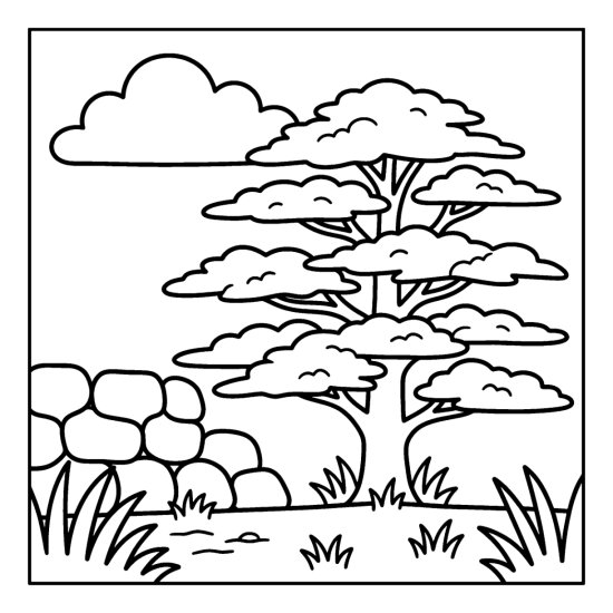 Spreading cedar tree with flat layered branches beside a low stone wall, coloring page