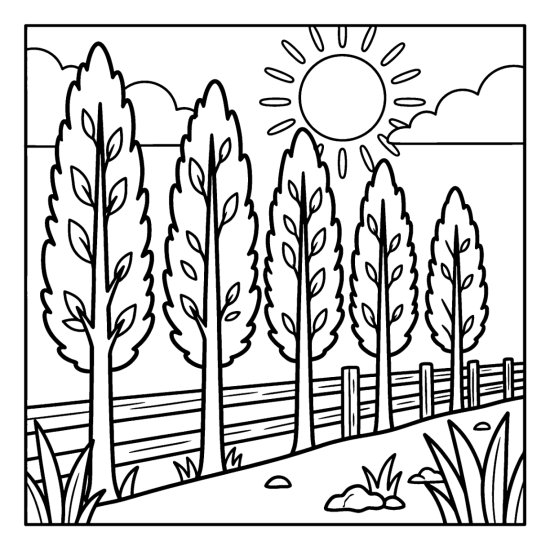 Row of slim poplar trees along a field edge with a wooden fence, coloring page