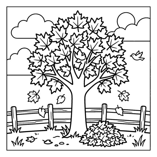 Maple tree dropping leaves with a small pile at its base by a fence, coloring page