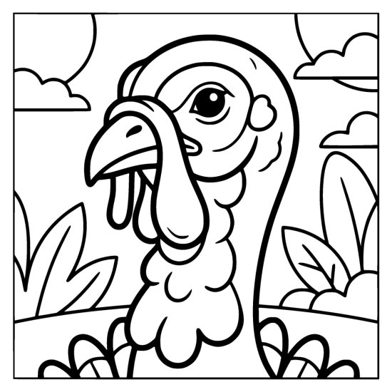 Close up of a turkey head and neck showing the beak, wattle and snood, bold and easy