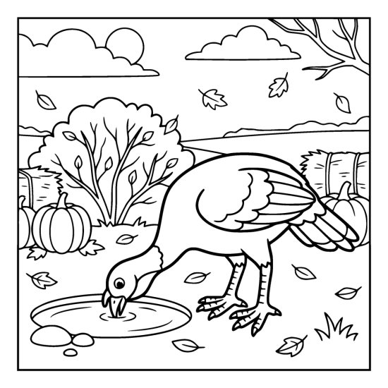 Turkey bending its neck to drink from a shallow puddle beside hay bales and pumpkins, coloring sheet
