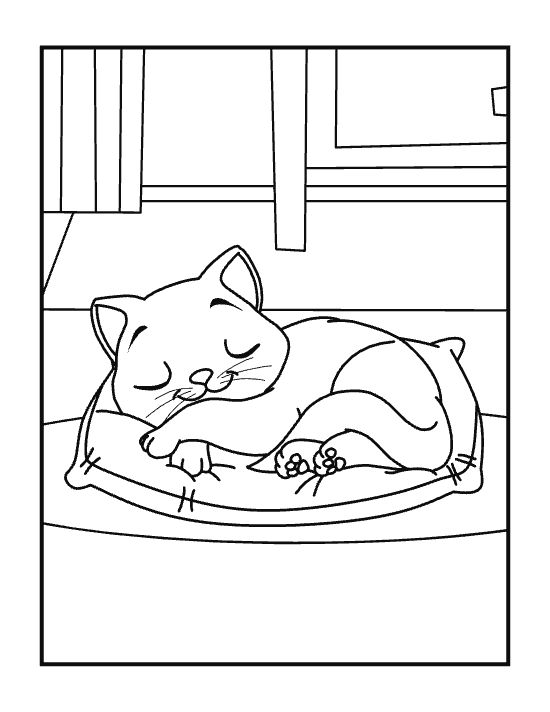 Sleepy kitten curled napping on a soft cushion beside a window on a coloring page