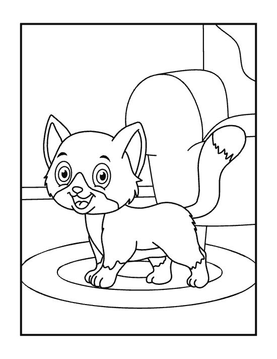 Happy fluffy kitten standing on an oval rug beside an armchair drawn bold and easy