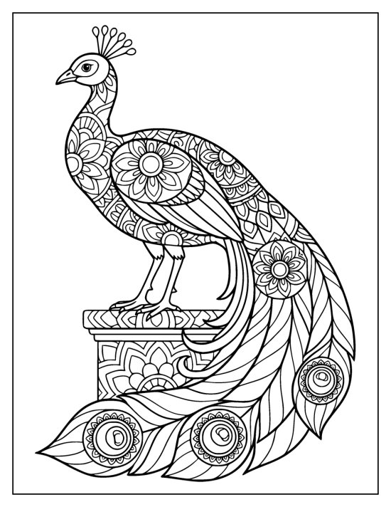 Peacock perched on a patterned stone pedestal with its long train curling down, coloring page