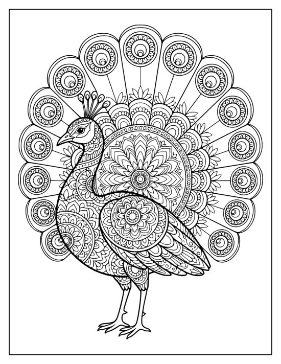 Peacock facing left before a fan with a big sunburst medallion at its center, coloring sheet