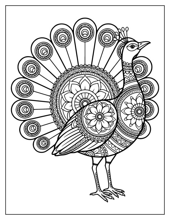 Peacock facing right with beak raised before an open fan of ringed eyespots, mandala