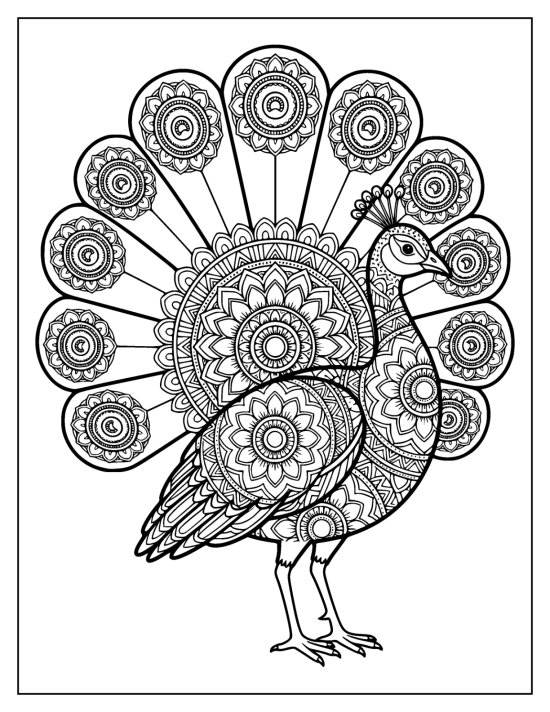 Peacock with chest forward in front of a full fan of detailed eyespots, line art